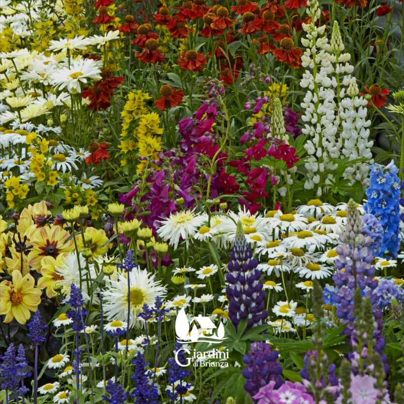 Altre Principali Pratiche Agronomiche per manutenzione giardini a Monza