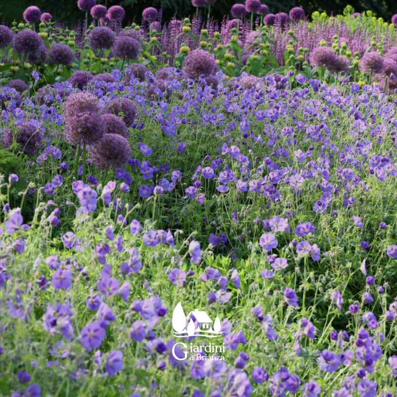 Lavori di Giardinaggio eseguiti con rispetto ambiente e pratiche ecosostenibili